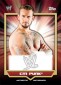 2011 Topps WWE Classic Autographs CM Punk 61x85 Image