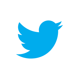 twitter bird blue on white Image