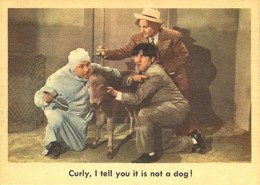 1959 Fleer Three Stooges 67 260x185 Image